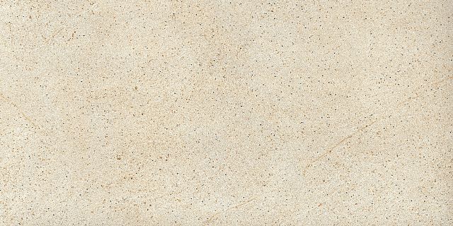 Coastland Beige Natural.jpg