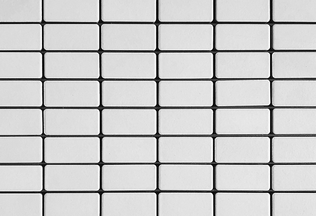 Inax 2x1 Inch White Matt (Grid Join).jpg